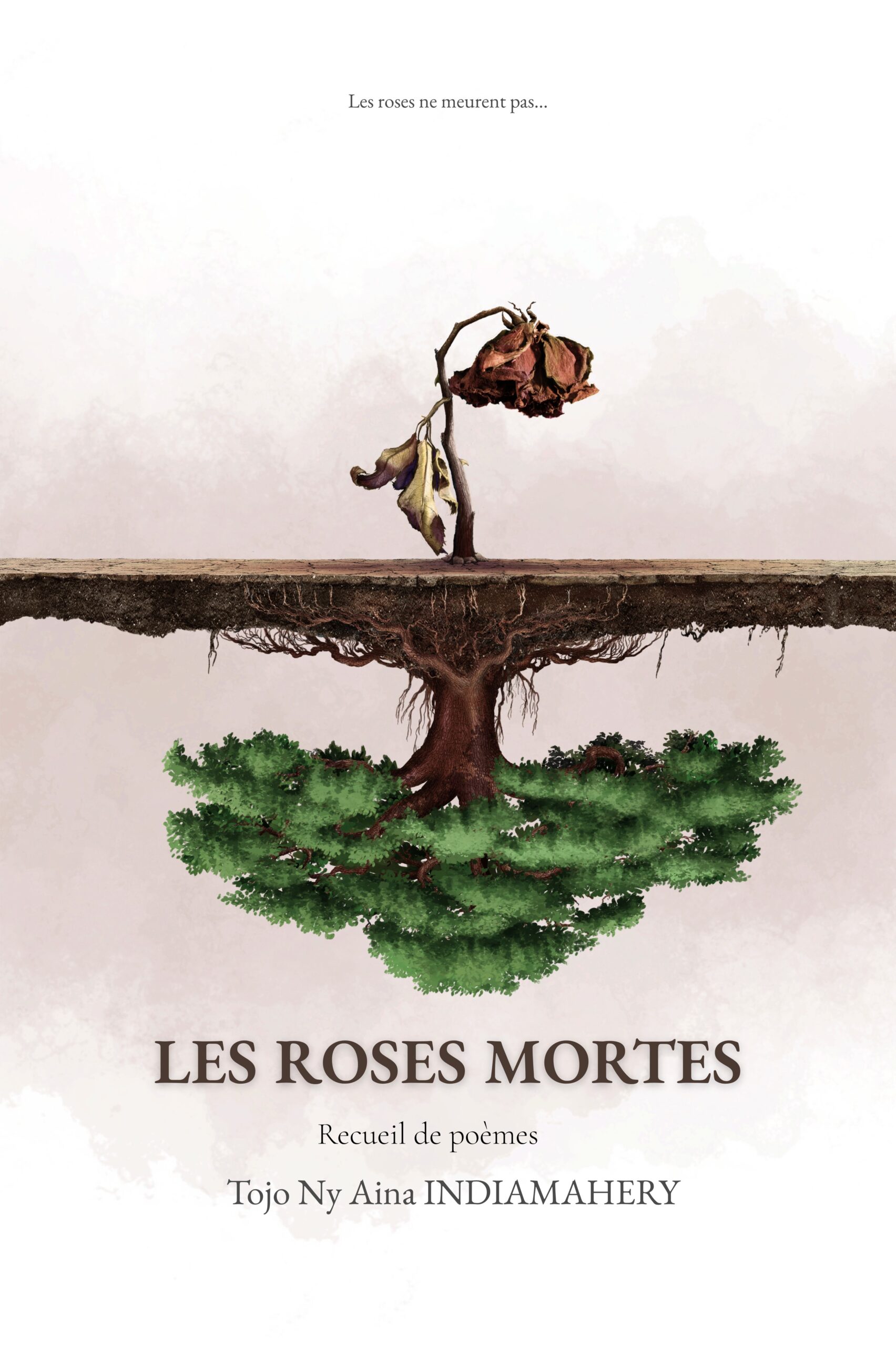 couverture numerique